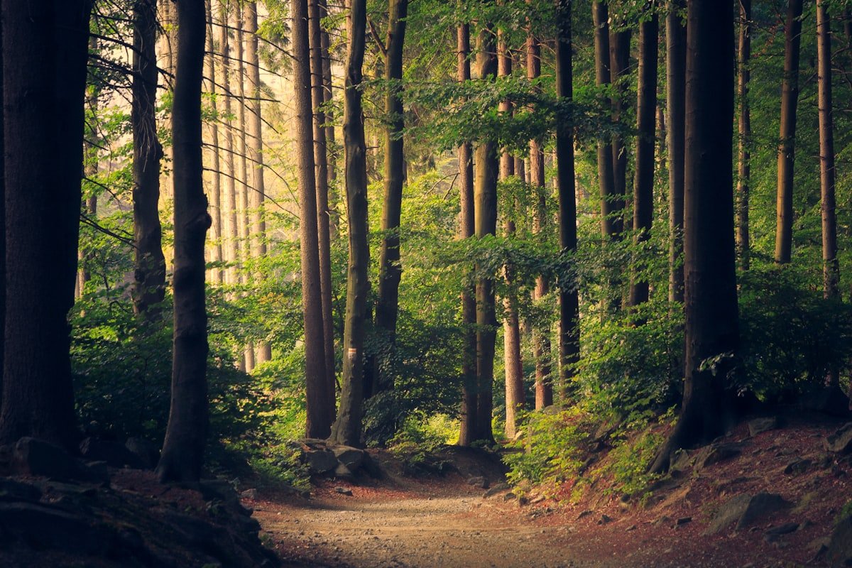 Green Trails Coalition